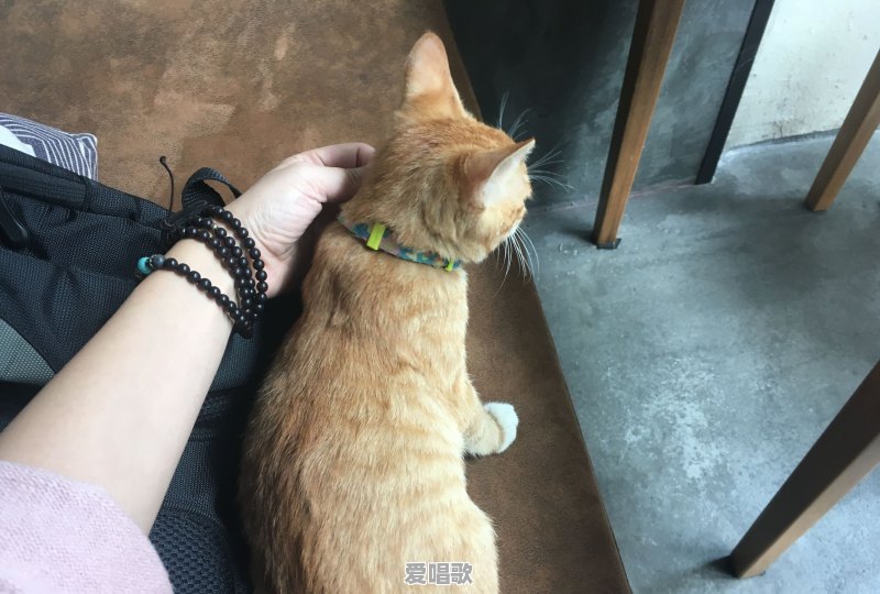 无锡哪里可以安静的看书或者安静的咖啡馆在哪里 - 爱唱歌