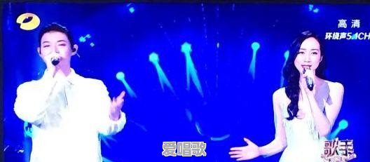 回顾历届《歌手》舞台，都有哪些辣耳朵的车祸现场 - 爱唱歌