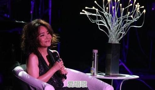 回顾历届《歌手》舞台，都有哪些辣耳朵的车祸现场 - 爱唱歌