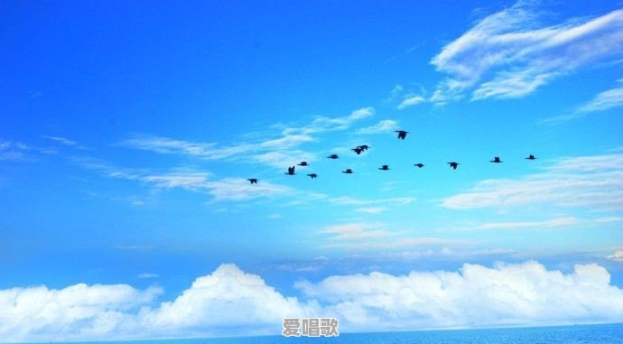 哪些歌背后的原型故事让你知道后大吃一惊 哪些歌背后的原型故事让你知道后大吃一惊 - 爱唱歌