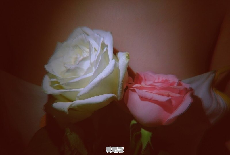 你网易云单曲循环的歌是什么 你网易云单曲循环的歌是什么 - 爱唱歌