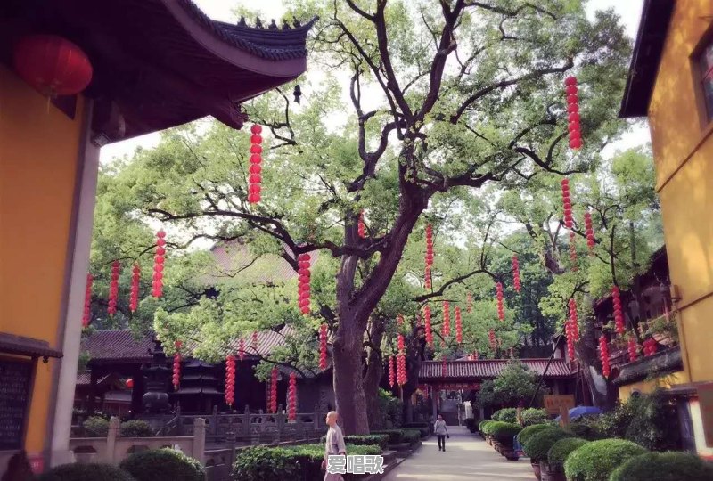 天天吃的很少为什么还是不瘦 天天吃的很少为什么还是不瘦 - 爱唱歌