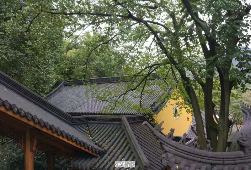 天天吃的很少为什么还是不瘦 天天吃的很少为什么还是不瘦 - 爱唱歌