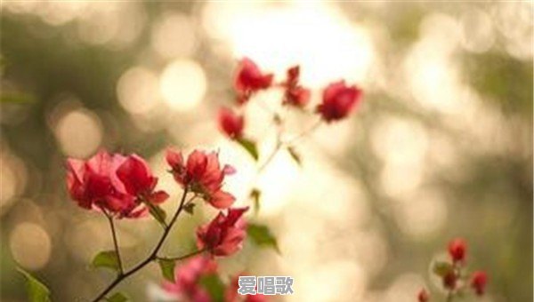 吉他必学的基础乐理(基础篇) 吉他必学的基础乐理(基础篇) - 爱唱歌