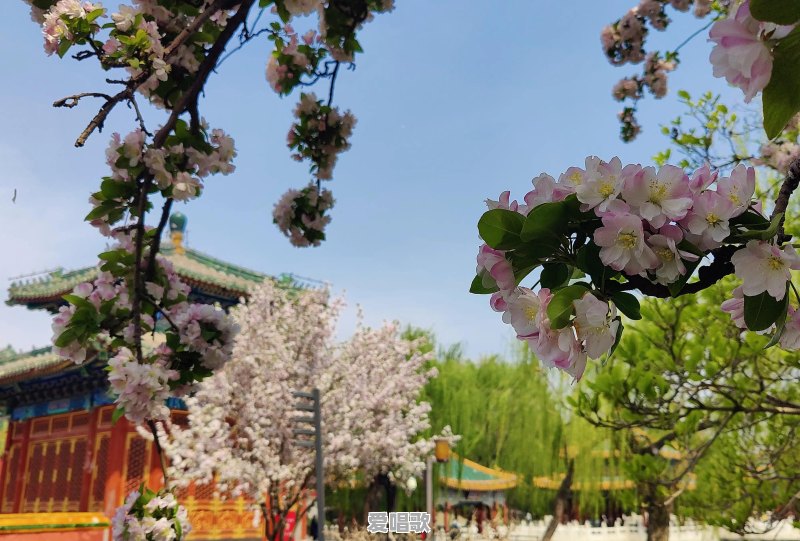 什么时候去北京旅游比较好 什么时候去北京旅游比较好 - 爱唱歌