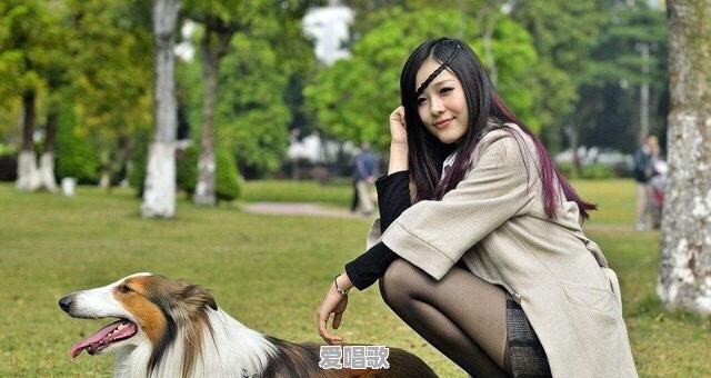 有没有一些听起来很厉害又搞笑的网名可以推荐 有没有一些听起来很厉害又搞笑的网名可以推荐 - 爱唱歌