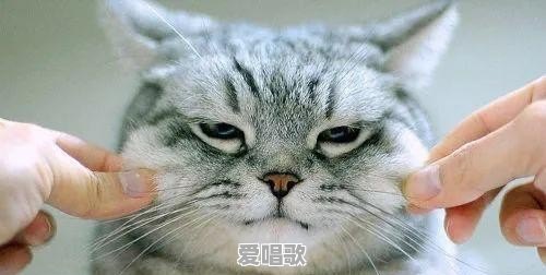 男朋友突然说他累了,什么都不想要了也不敢要了,也没以前喜欢我了,是气话还是真的 男朋友突然说他累了,什么都不想要了也不敢要了,也没以前喜欢我了,是气话还是真的 - 爱唱歌
