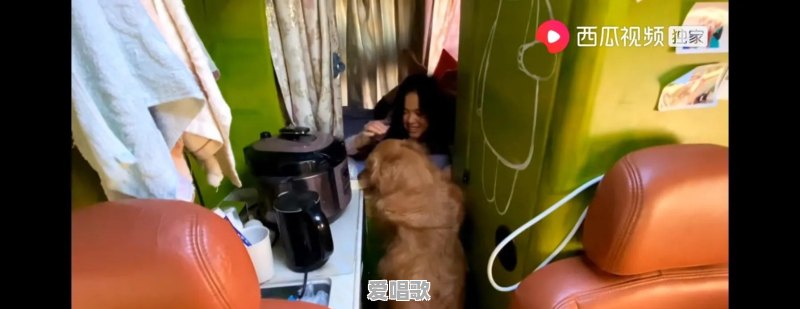 宠物撒起娇来是什么样的 宠物撒起娇来是什么样的 - 爱唱歌
