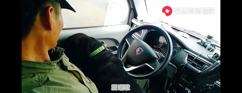 宠物撒起娇来是什么样的 宠物撒起娇来是什么样的 - 爱唱歌