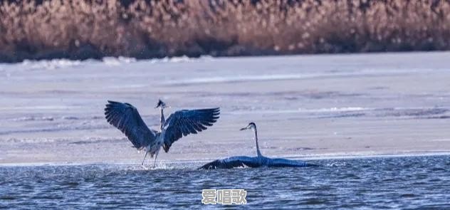2021爸妈听的网络歌曲 2021爸妈听的网络歌曲 - 爱唱歌