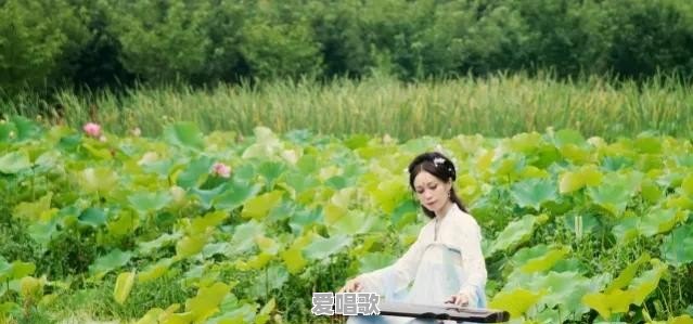 2021爸妈听的网络歌曲 2021爸妈听的网络歌曲 - 爱唱歌
