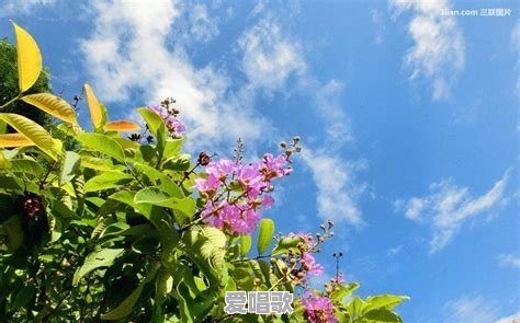 “跟着感觉走”,是哲理还是唯心?你怎么看 “跟着感觉走”,是哲理还是唯心?你怎么看 - 爱唱歌