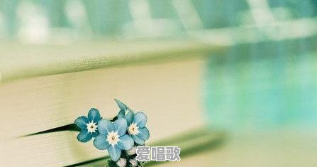 “外面的世界没有别人,只有你自己”,这句话你是怎么理解的 “外面的世界没有别人,只有你自己”,这句话你是怎么理解的 - 爱唱歌