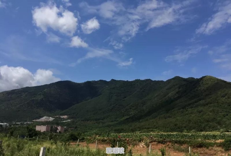 在你心中抖音十大情歌是什么 在你心中抖音十大情歌是什么 - 爱唱歌