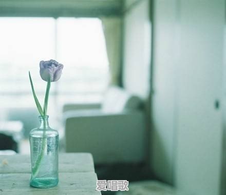 什么话是世界通用的 - 爱唱歌