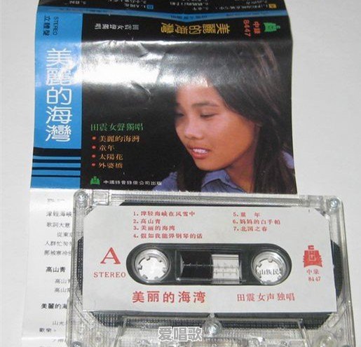 如何看待田震身患重病一夜白头,如果不是那英她的人生会不会有所改变 如何看待田震身患重病一夜白头,如果不是那英她的人生会不会有所改变 - 爱唱歌
