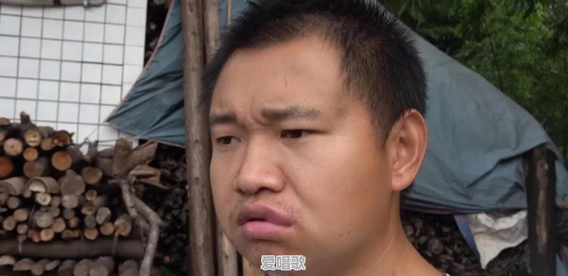 为什么农村四哥，小六搞野，型男走乡村，乡野丫头等农村自媒体创作者在头条非常红 - 爱唱歌