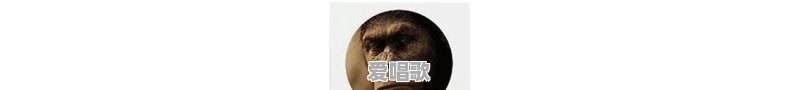 为什么每个黑老大都要戴劳力士 为什么每个黑老大都要戴劳力士 - 爱唱歌