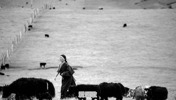 北京自驾游到草原玩，去乌兰察布还是锡林郭勒盟哪个更好？时间五天左右。有哪些推荐 - 爱唱歌