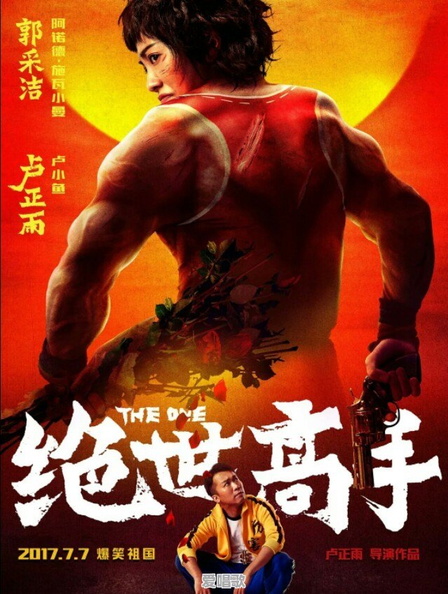 如何评价卢正雨的电影《绝世高手》 - 爱唱歌