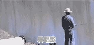 谁是最受追捧的网红歌手 谁是最受追捧的网红歌手 - 爱唱歌