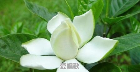 #乐活周末#在一个城市里,什么可以代表城市的文化?是博物馆吗 #乐活周末#在一个城市里,什么可以代表城市的文化?是博物馆吗 - 爱唱歌