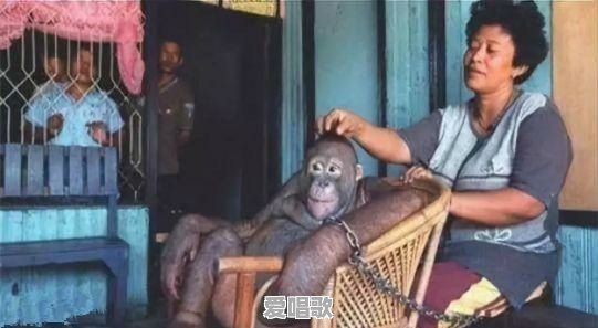 你听过哪些“骇人听闻”的真实事件 你听过哪些“骇人听闻”的真实事件 - 爱唱歌