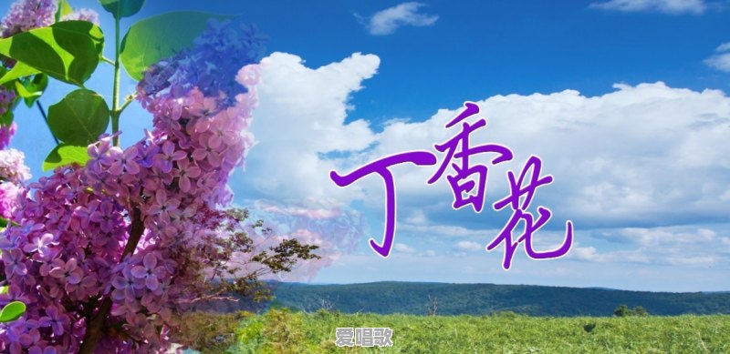 八十年代英文流行歌曲 八十年代英文流行歌曲 - 爱唱歌