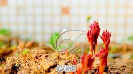 我想知道一个人喜欢听悲伤的歌是因为什么 我想知道一个人喜欢听悲伤的歌是因为什么 - 爱唱歌