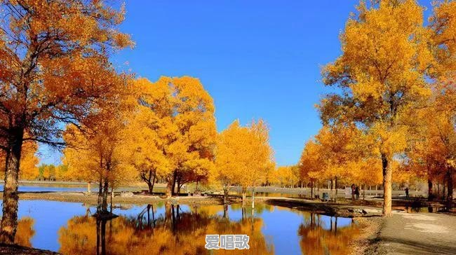儿歌新疆是个好地方怎么唱 儿歌新疆是个好地方怎么唱 - 爱唱歌