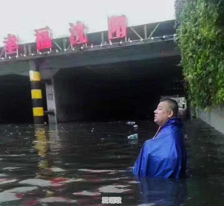 到底什么叫“现实就像一只鸭” 到底什么叫“现实就像一只鸭” - 爱唱歌