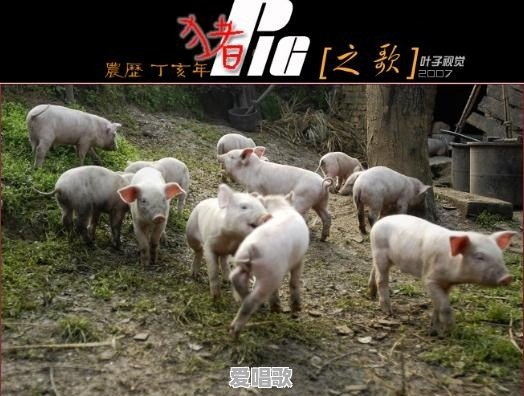 谢谢你的爱这首歌的含义是什么啊 谢谢你的爱这首歌的含义是什么啊 - 爱唱歌