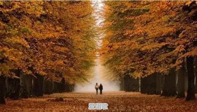 照顾年老父母,我们该不该收他们的钱?我们的孝心会不会打折 照顾年老父母,我们该不该收他们的钱?我们的孝心会不会打折 - 爱唱歌