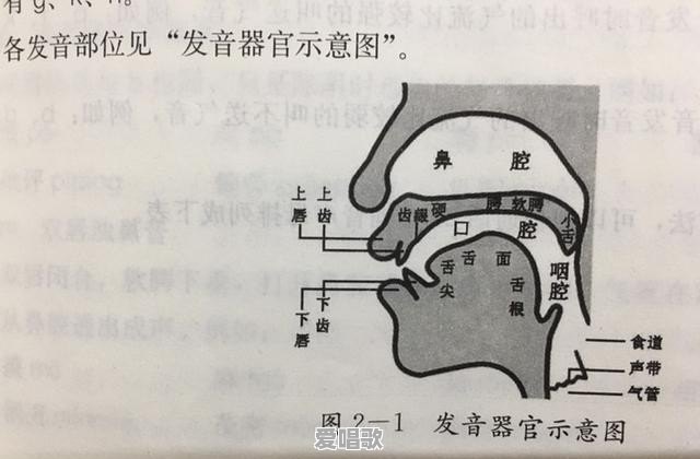 正压冲管正确手法 - 爱唱歌
