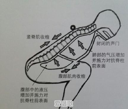 唱歌腰腹力量训练视频 - 爱唱歌