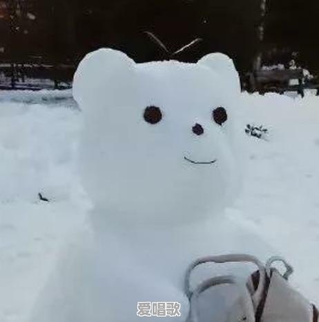 南方人看见雪为什么会很兴奋 - 爱唱歌