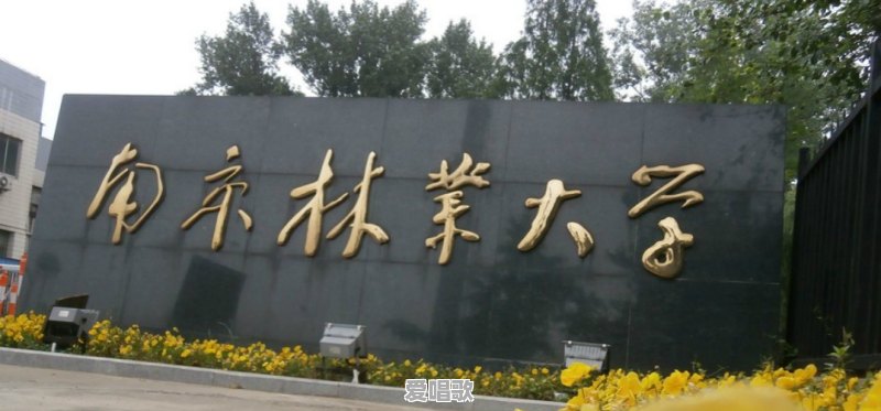 登峰学校怎么样 登峰学校怎么样 - 爱唱歌