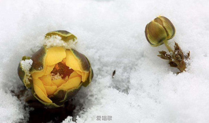 直播的时候活跃气氛的歌曲有哪些 直播的时候活跃气氛的歌曲有哪些 - 爱唱歌