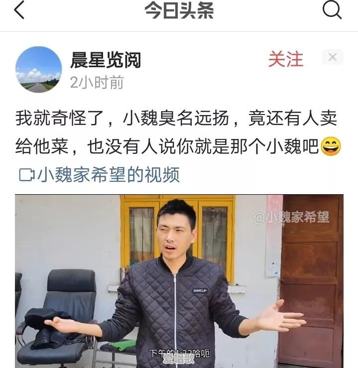 河南网红:小魏家的希望,到底是什么类型的人才 河南网红:小魏家的希望,到底是什么类型的人才 - 爱唱歌