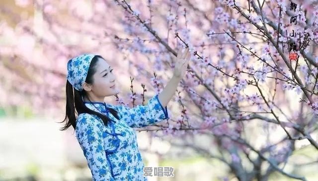 许嵩摄影艺术歌词 许嵩摄影艺术歌词 - 爱唱歌