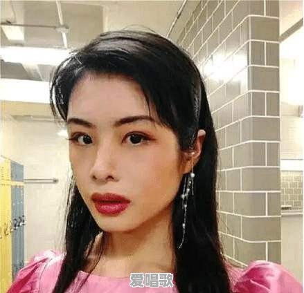 请让我再为你醉一回是什么歌 请让我再为你醉一回是什么歌 - 爱唱歌