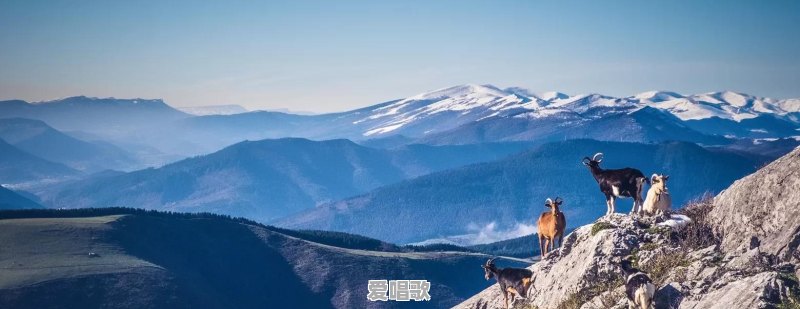 网络现在最火的歌曲名 网络现在最火的歌曲名 - 爱唱歌