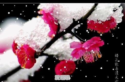 如何用平水韵写近体诗 如何用平水韵写近体诗 - 爱唱歌