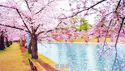 怎样才能唱好《樱花樱花想见你》这首歌呢 怎样才能唱好《樱花樱花想见你》这首歌呢 - 爱唱歌