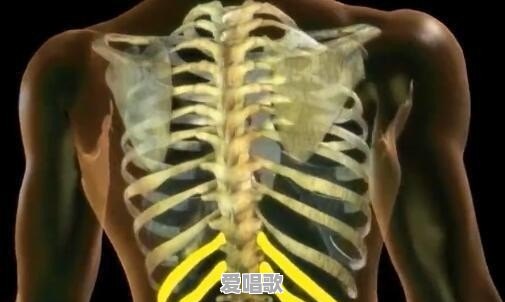 唱歌技巧和呼吸方法有哪些 唱歌技巧和呼吸方法有哪些 - 爱唱歌