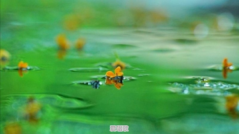 低落的流行音乐有哪些 低落的流行音乐有哪些 - 爱唱歌