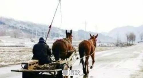 农村有些农具已渐渐消失了,晒晒你记忆的农具有多少?都有什么用途 农村有些农具已渐渐消失了,晒晒你记忆的农具有多少?都有什么用途 - 爱唱歌
