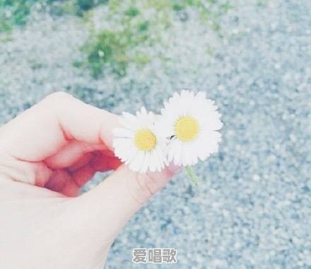 适合花店流行音乐有哪些 适合花店流行音乐有哪些 - 爱唱歌