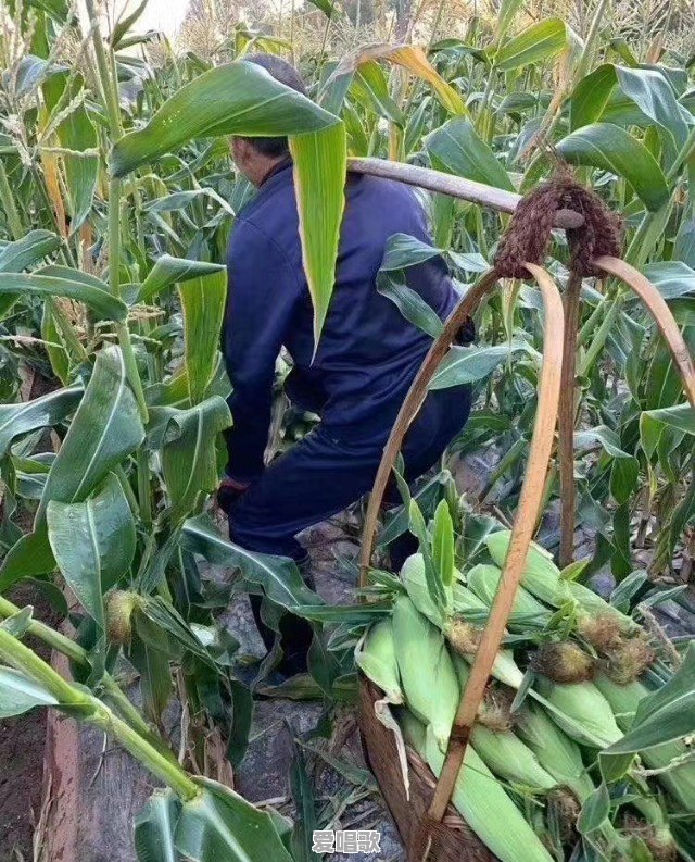 广东话阖家富贵什么意思 广东话阖家富贵什么意思 - 爱唱歌
