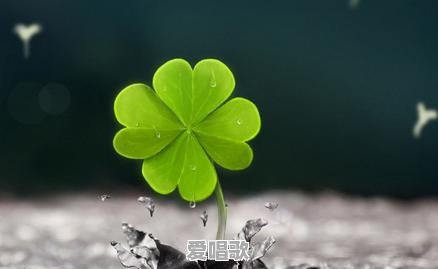 奔四的人了,现在一无所有,余生还能做些什么 奔四的人了,现在一无所有,余生还能做些什么 - 爱唱歌